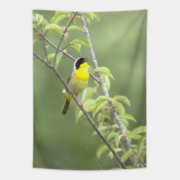 Common Yellowthroat bird with soft green out of focus background Tapestry by BirdsnStuff