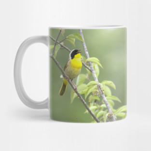 Common Yellowthroat bird with soft green out of focus background Mug