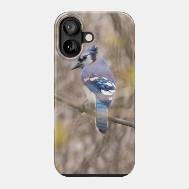 Blue Jay with brown and grey blurred background and green blurred leaves Phone Case by BirdsnStuff