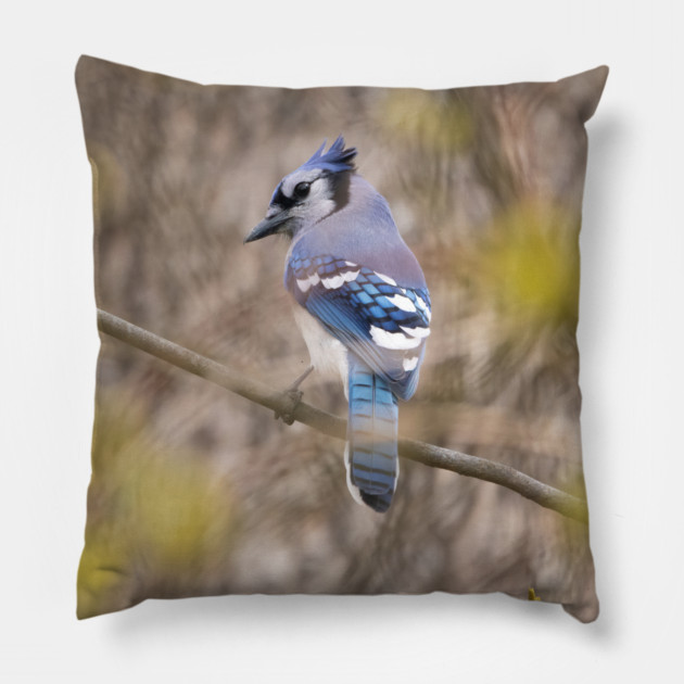 Blue Jay with brown and grey blurred background and green blurred leaves Pillow by BirdsnStuff