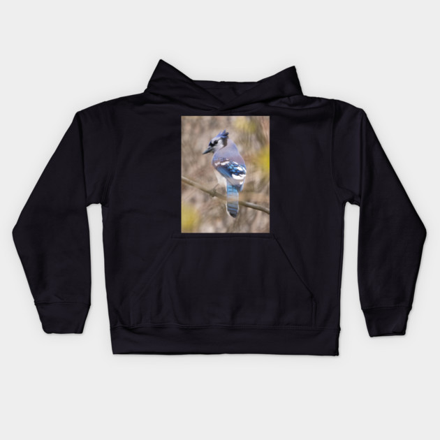 Blue Jay with brown and grey blurred background and green blurred leaves Kids Hoodie by BirdsnStuff