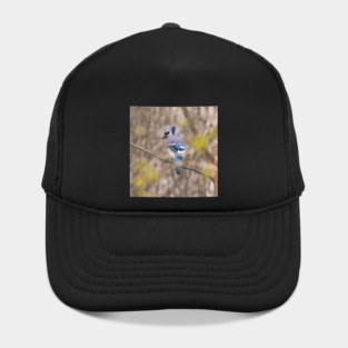 Blue Jay with brown and grey blurred background and green blurred leaves Hat