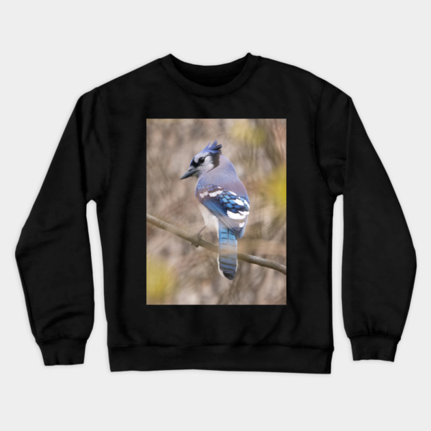 Blue Jay with brown and grey blurred background and green blurred leaves Crewneck Sweatshirt by BirdsnStuff