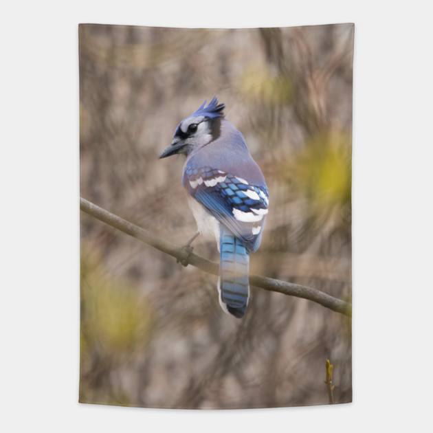 Blue Jay with brown and grey blurred background and green blurred leaves Tapestry by BirdsnStuff