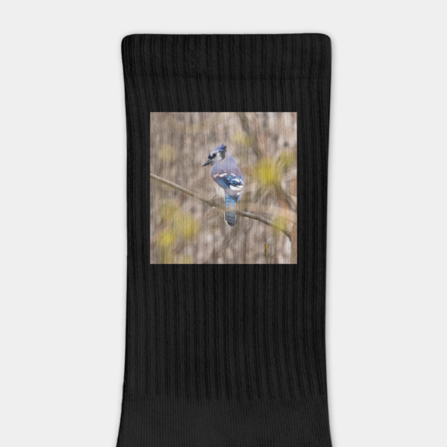 Blue Jay with brown and grey blurred background and green blurred leaves by BirdsnStuff