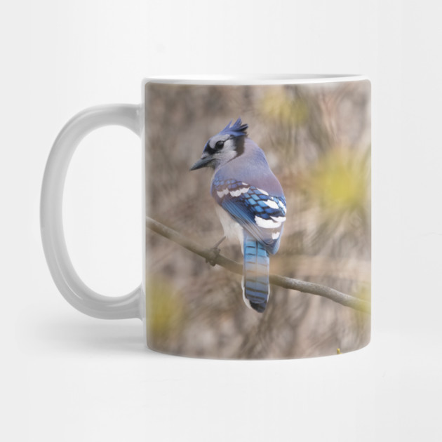 Blue Jay with brown and grey blurred background and green blurred leaves by BirdsnStuff