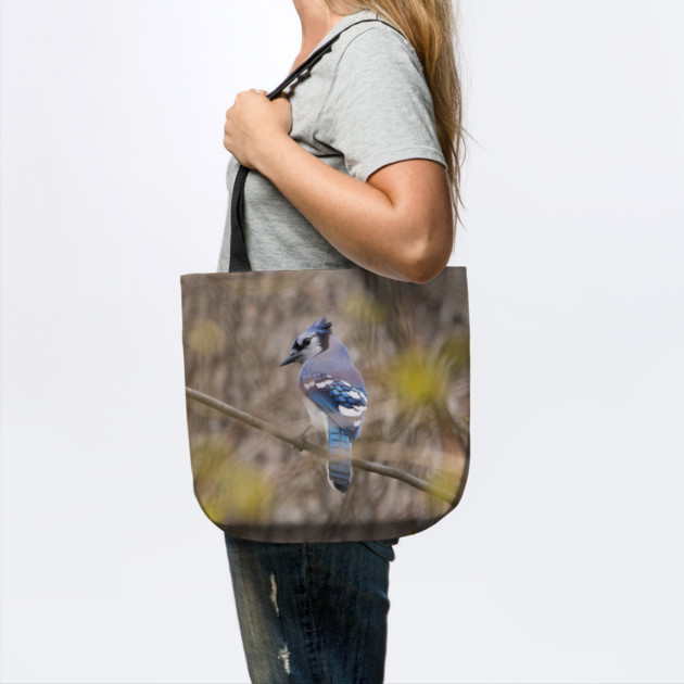 Blue Jay with brown and grey blurred background and green blurred leaves by BirdsnStuff