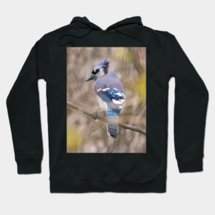 Blue Jay with brown and grey blurred background and green blurred leaves Hoodie