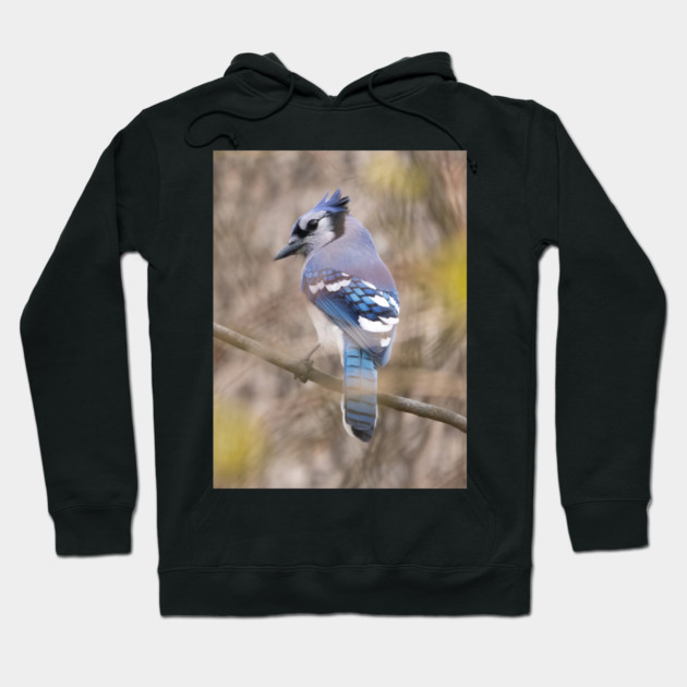 Blue Jay with brown and grey blurred background and green blurred leaves Hoodie by BirdsnStuff
