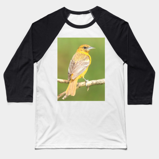 Baltimore Oriole bird with orange white feathers and green soft out of focus background Baseball T-Shirt by BirdsnStuff