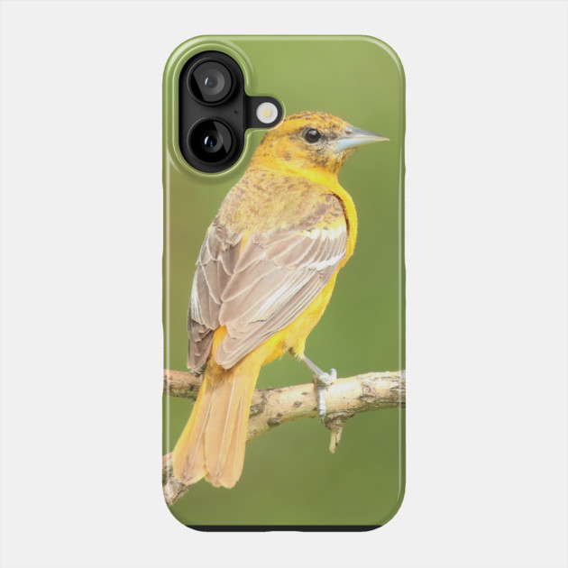 Baltimore Oriole bird with orange white feathers and green soft out of focus background Phone Case by BirdsnStuff