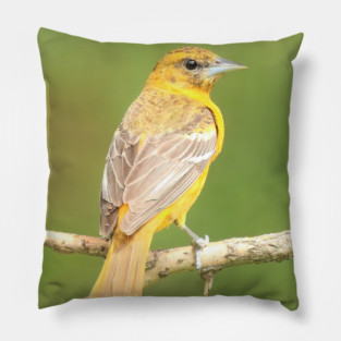 Baltimore Oriole bird with orange white feathers and green soft out of focus background Pillow