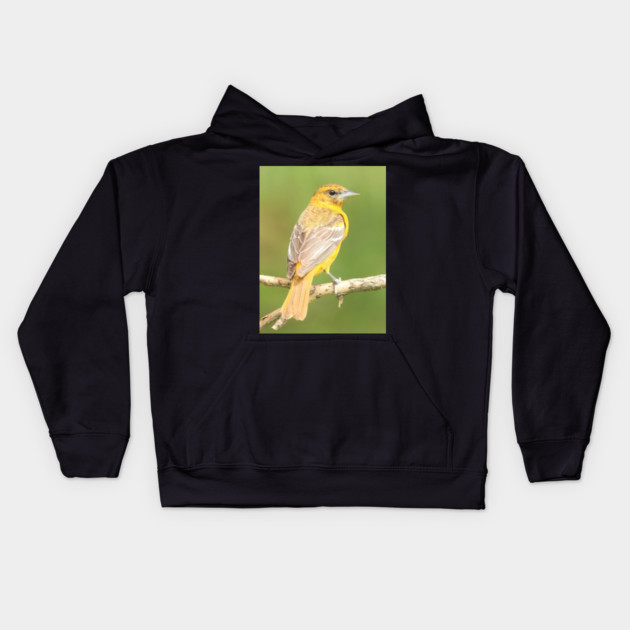 Baltimore Oriole bird with orange white feathers and green soft out of focus background Kids Hoodie by BirdsnStuff