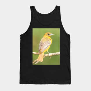 Baltimore Oriole bird with orange white feathers and green soft out of focus background Tank Top