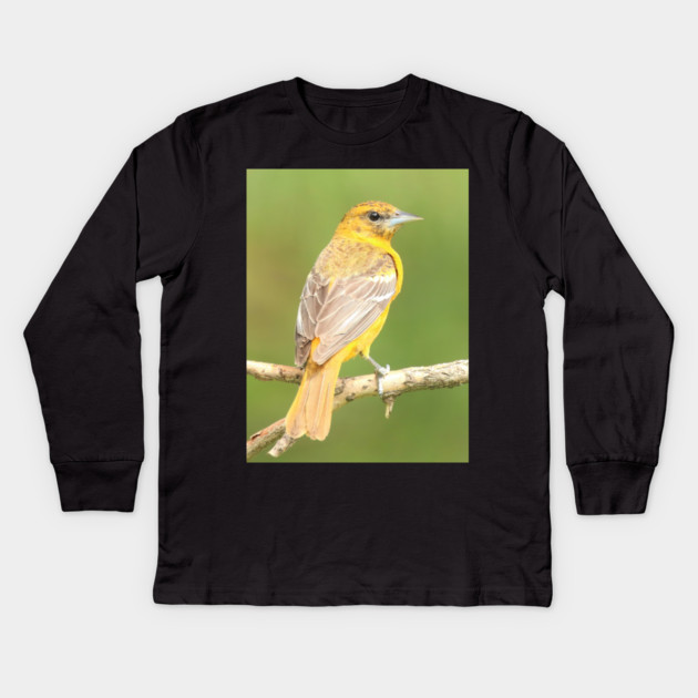 Baltimore Oriole bird with orange white feathers and green soft out of focus background Kids Long Sleeve T-Shirt by BirdsnStuff