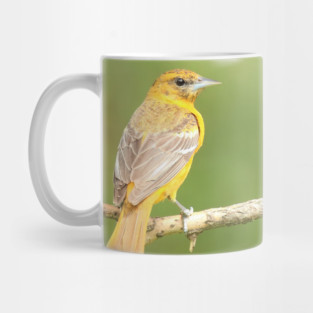 Baltimore Oriole bird with orange white feathers and green soft out of focus background Mug
