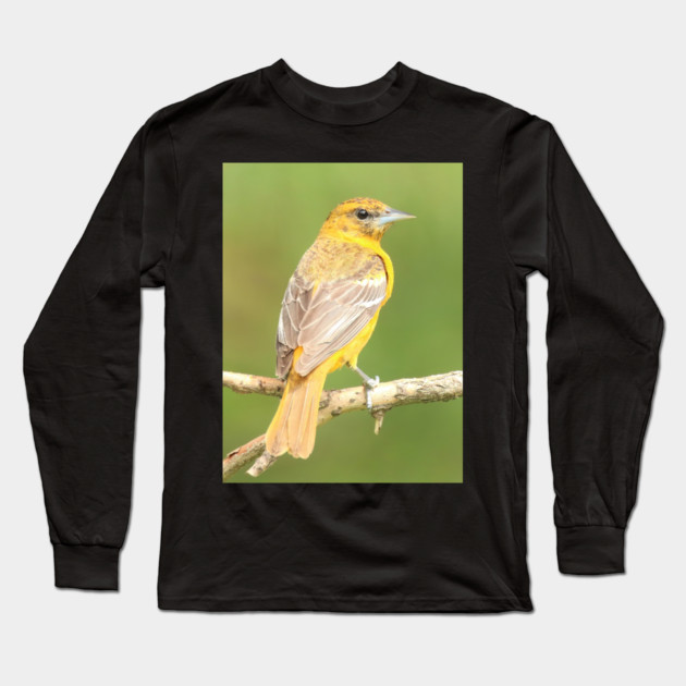 Baltimore Oriole bird with orange white feathers and green soft out of focus background Long Sleeve T-Shirt by BirdsnStuff