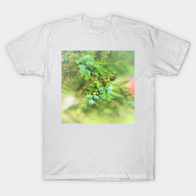 Fresh Greenery and Plant Life- Pine tree, plants, bokeh background T-Shirt by BirdsnStuff