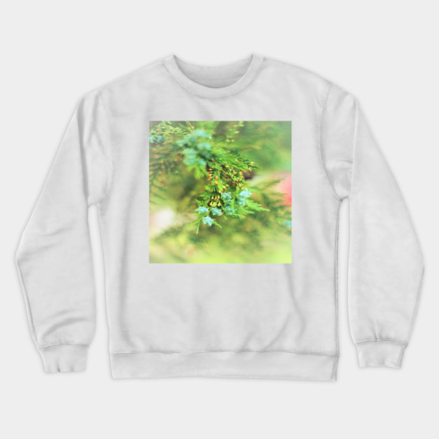 Fresh Greenery and Plant Life- Pine tree, plants, bokeh background Crewneck Sweatshirt by BirdsnStuff