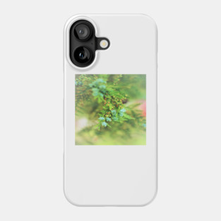Fresh Greenery and Plant Life- Pine tree, plants, bokeh background Phone Case