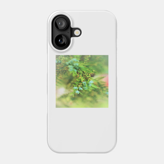 Fresh Greenery and Plant Life- Pine tree, plants, bokeh background Phone Case by BirdsnStuff