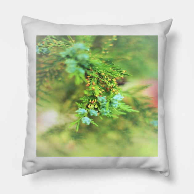 Fresh Greenery and Plant Life- Pine tree, plants, bokeh background Pillow by BirdsnStuff