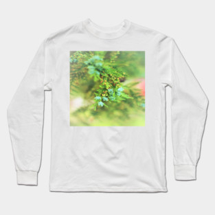 Fresh Greenery and Plant Life- Pine tree, plants, bokeh background Long Sleeve T-Shirt