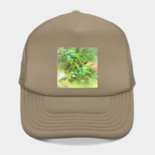 Fresh Greenery and Plant Life- Pine tree, plants, bokeh background Hat