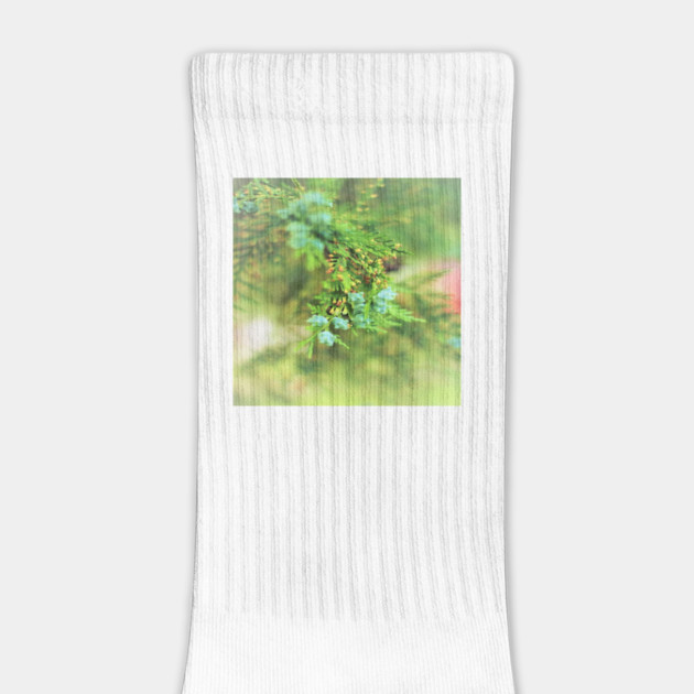 Fresh Greenery and Plant Life- Pine tree, plants, bokeh background by BirdsnStuff