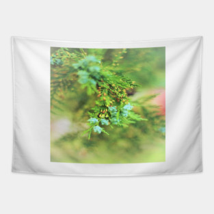 Fresh Greenery and Plant Life- Pine tree, plants, bokeh background Tapestry
