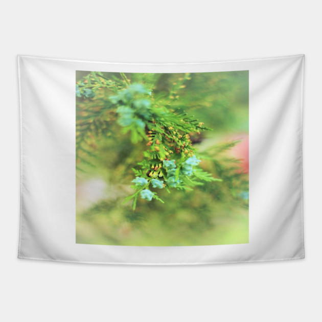 Fresh Greenery and Plant Life- Pine tree, plants, bokeh background Tapestry by BirdsnStuff