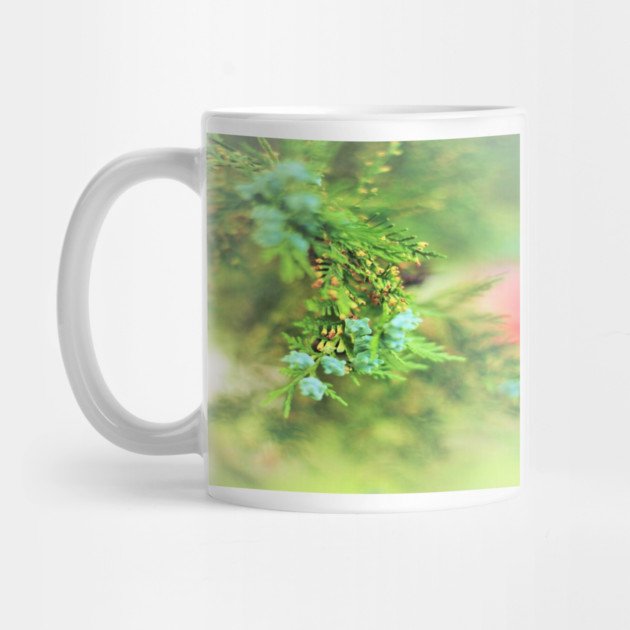 Fresh Greenery and Plant Life- Pine tree, plants, bokeh background by BirdsnStuff