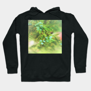Fresh Greenery and Plant Life- Pine tree, plants, bokeh background Hoodie