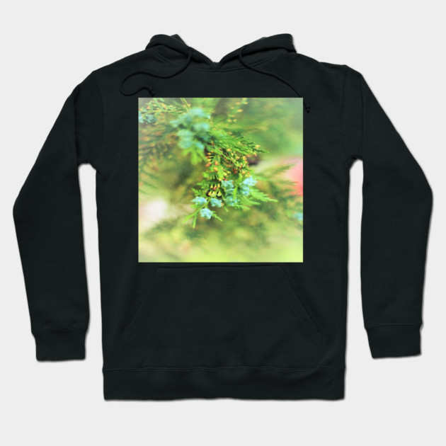 Fresh Greenery and Plant Life- Pine tree, plants, bokeh background Hoodie by BirdsnStuff