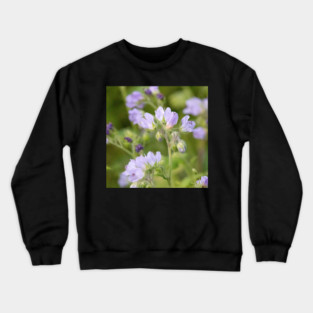 Purple, Spring, Flowers, wildflowers, nature Crewneck Sweatshirt