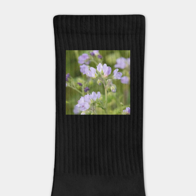 Purple, Spring, Flowers, wildflowers, nature by BirdsnStuff