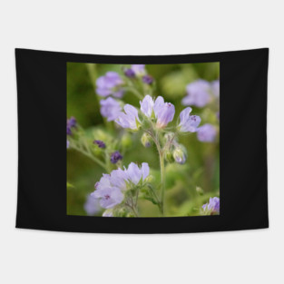 Purple, Spring, Flowers, wildflowers, nature Tapestry