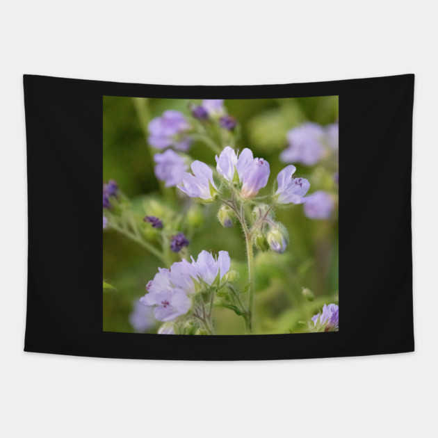Purple, Spring, Flowers, wildflowers, nature Tapestry by BirdsnStuff