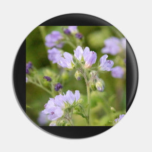 Purple, Spring, Flowers, wildflowers, nature Pin