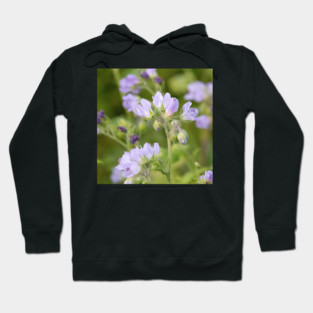 Purple, Spring, Flowers, wildflowers, nature Hoodie