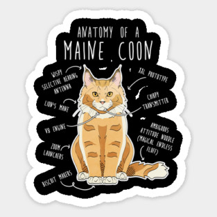 Maine Coon Cat Anatomy Sticker