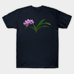 Orchids - Aerides Lawrenciae X Odorata Orchid T-Shirt