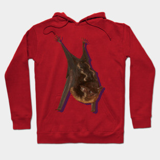 Bat Hoodie