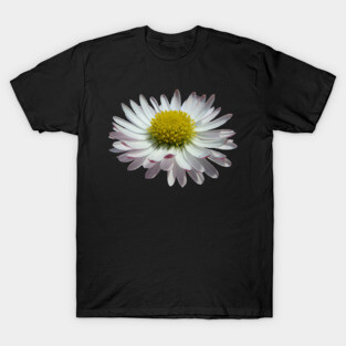 wonderful daisy flower, nature, daisies, T-Shirt