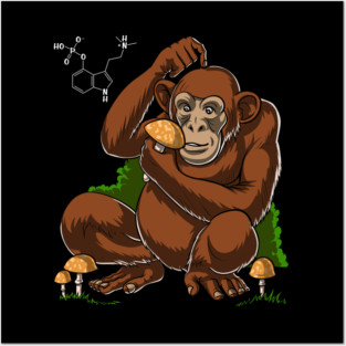 Stoned Ape Theory Magic Mushrooms Posters and Art