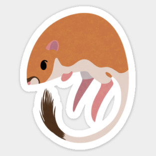 Kangaroo Rat Sticker