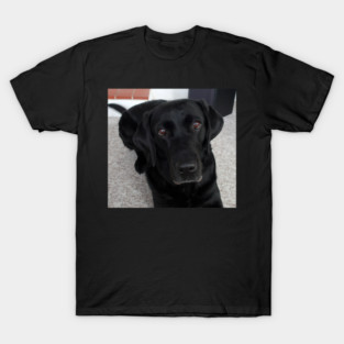 The Irresistible gaze of sweet Sia T-Shirt