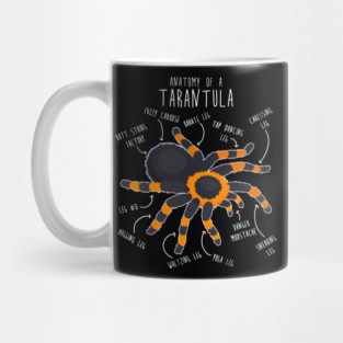 Tarantula Anatomy Mug