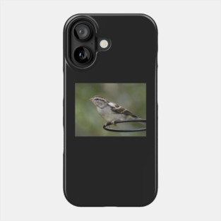 Chipping Sparrow Phone Case