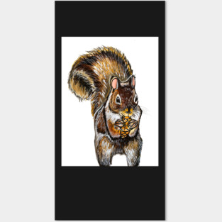 Squirrel Posters and Art